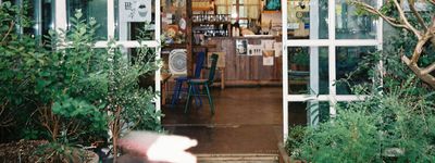The Groundwork interior — wooden floors, hanging plants, and warm afternoon light