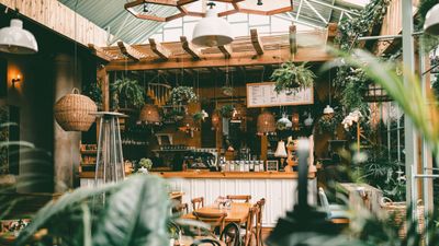 Warm, plant-filled cafe interior with wooden tables and soft golden light